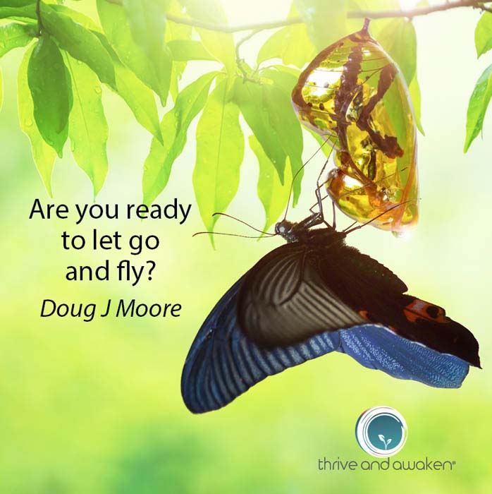 Butterfly handing onto its shell. Quote by Doug: Are you ready to let go and fly?